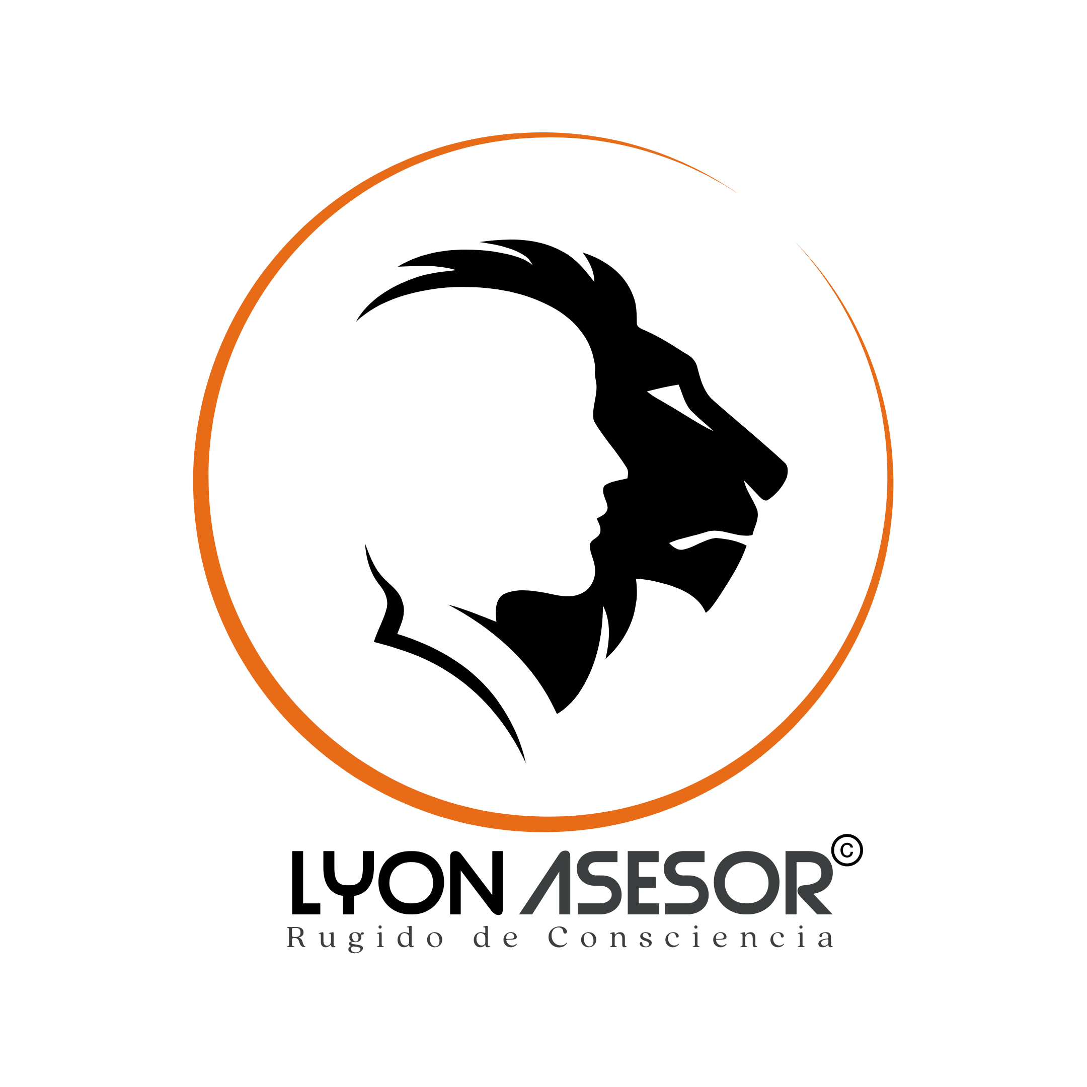 Lyon Asesor